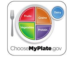 File Manager -> myplate.jpg